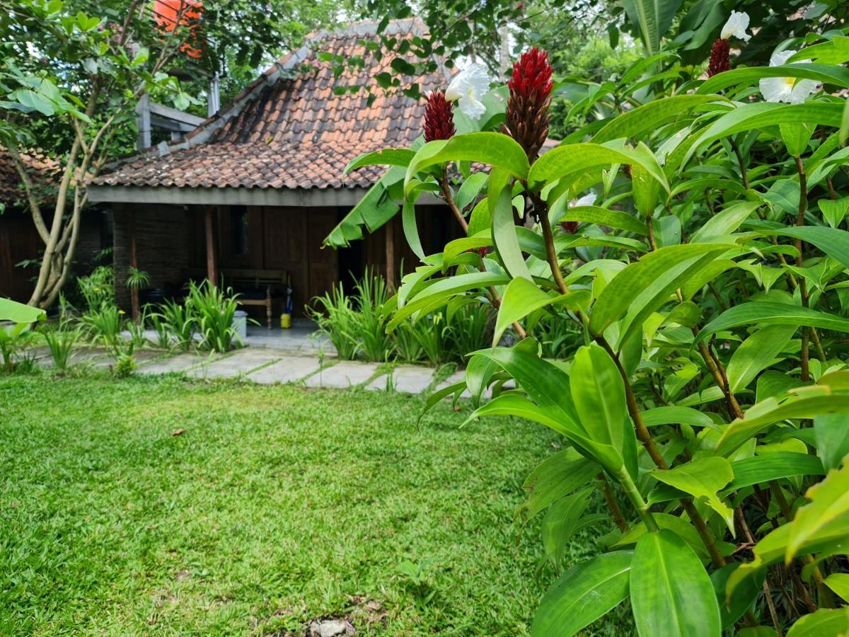 Villa Kayu Γιογκιακάρτα Εξωτερικό φωτογραφία