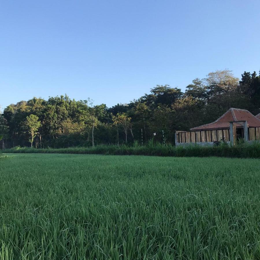 Villa Kayu Γιογκιακάρτα Εξωτερικό φωτογραφία